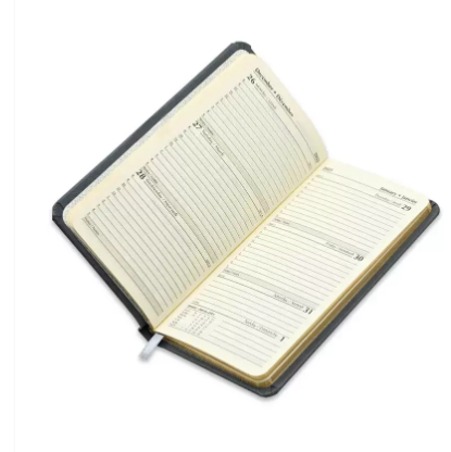 Fis 2023 Golden Slim diary Bonded Leather English & French - Grey -FSDI59EFGB23GY