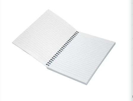Light LINBA51801S Spiral Soft Cover Single Line Notebook (Pack of 10 Pcs X 100 Sheets, A5)