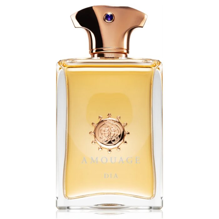 AMOUAGE DIA (M) EDP 100ML (NEW PACKING)