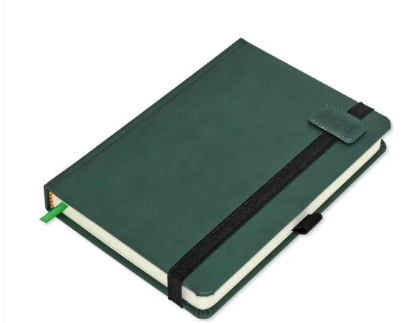 FIS Diary 2023 (English) A5, Green - FSDI84E23GR