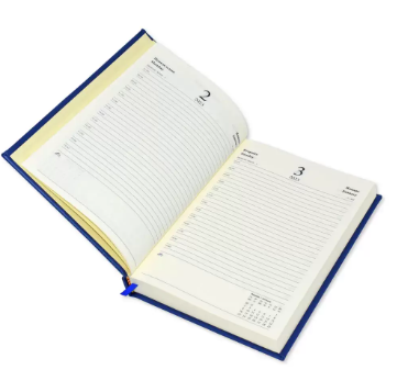 FIS A5 Diary 2023 (Russian/English) Blue - FSDIRUP0121BL