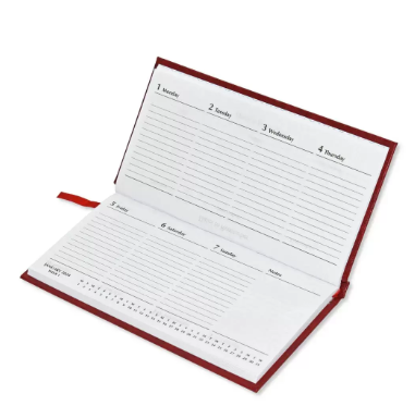 Fis 2024 Slim English Diary Vinyl Hard Cover Red -FSDI51E24RE