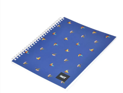 LIGHT Pack of 10, Spiral Soft Cover Notebook, Single Line, 100 Sheets -LINB971609S