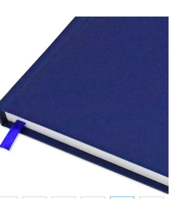 FIS A4 Diary 2024 English (Saturday & Sunday Combined) Blue - FSDI47E24BL