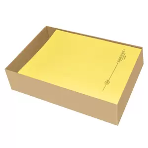 FIS Square Cut Folders Without Fastener Yellow Color, Pack of 100 Pcs, 250 gsmA4 Size - FSFF9YL01