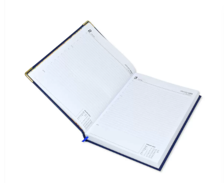 FIS Executive Daily Diary 2023 (English) Brown - FSDI88E23BR