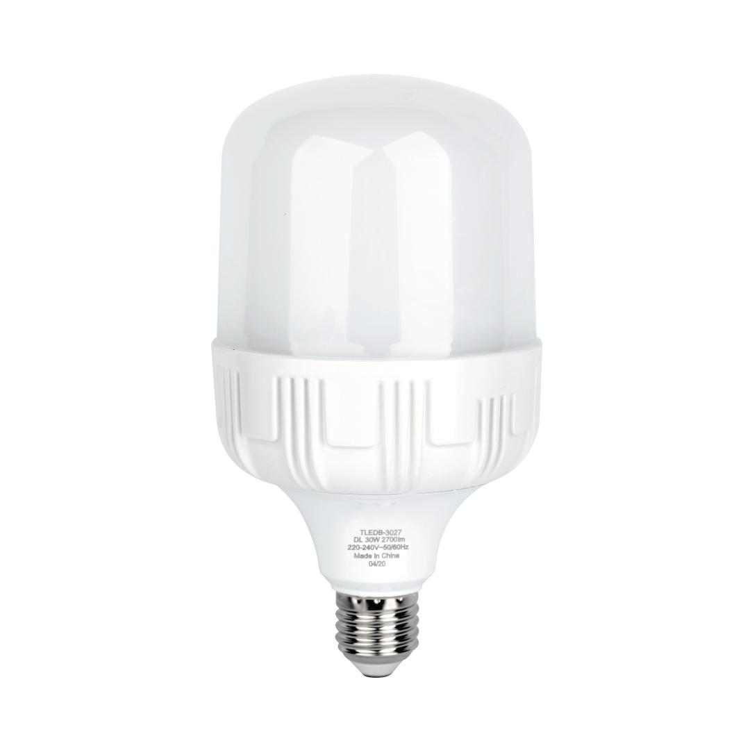 LED Bulb 30W Day Light E27