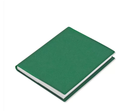 FIS 2024 Pocket Diary Arabic English With Pvc Soft Cover Green -FSDI13AE24GR