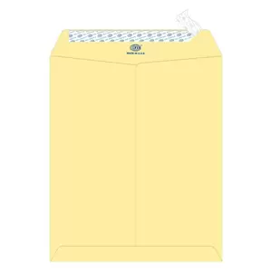 FIS Executive Laid Paper Envelopes Peel & Seal, Pack of 25 Pcs. Cream Color, 12 x 10 inch Size, 100 GSM - FSEE1034PCRB25