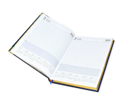 FIS A4 Golden Diary 2023 (English) Brown - FSDI44EG23BR