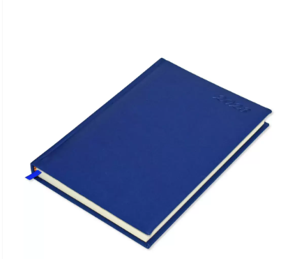 FIS A5 Diary 2023 (Russian/English) Blue - FSDIRUP0121BL
