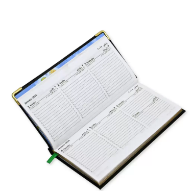 FIS 2024 Golden Slim Arabic English Diary Vinyl, 1 Side Padded Green -FSDI52AEG24GR