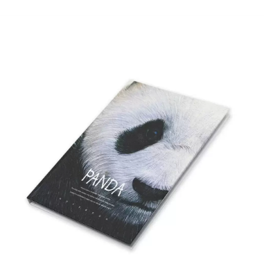 FIS Pack Of 5 Hard Cover Notebook, 96 Sheets A4 Panda Design 4 -FSNBHCA496-PAN4