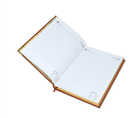 FIS Golden Executive Daily Diary 2023 (English) Chocolate - FSDI88EG23CH