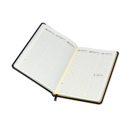 FIS 2023 Golden Diary A5 English Bonded Leather 1-Side Padded Brown - FSDI78EGB23BR