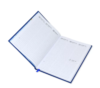 FIS 2023 Golden Diary A5 English Bonded Leather 1-Side Padded Black - FSDI78EGB23BK