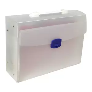 FIS Carry Expanding File With Lock 13 Color Pockets, 350 x 255 mm Size - FSPG1315FR