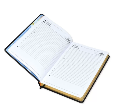 FIS Golden Diary 2023 (English) Blue, A5 - FSDI23EG23BL