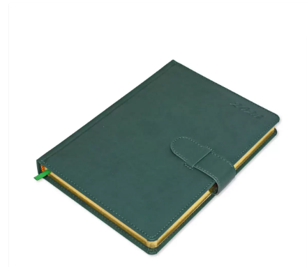 FIS Golden Agenda Diary 2023 (English) Italian PU, 1-Side Padded, Green - FSDI75EPG23GR