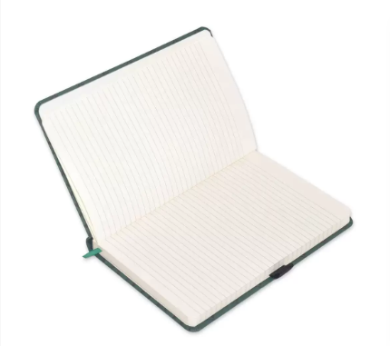 FIS Notebook With Elastic Band Italian PU Cover, Ivory Paper, Single Ruled, Green Color, 96 Sheets, Pen Holder With Gift Box, 13 x 21 cm Size - FSNBEX13X21GRD1