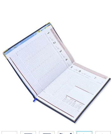 FIS Golden Executive Diary 2024 Arabic/English/French (1-Week at a glance) Blue - FSDI35AEG24BL