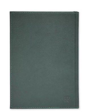 FIS Golden A5 Diary 2024 (English) Green - FSDI26EG24GR