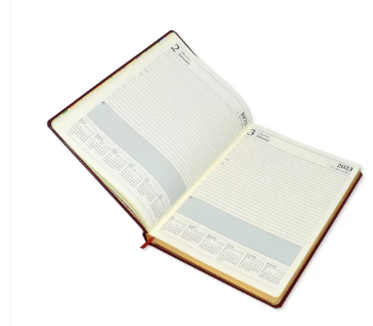 FIS A4 Diary 2023 English (Saturday & Sunday Combined) Black - FSDI47E23BK