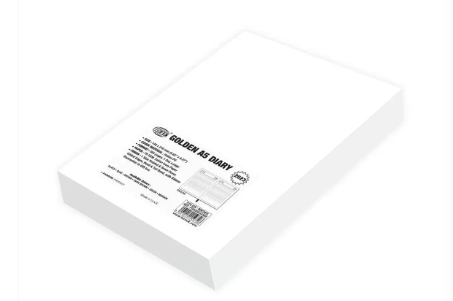 FIS Golden A5 Diary 2023 (English) Dark Brown - FSDI26EG23DBR