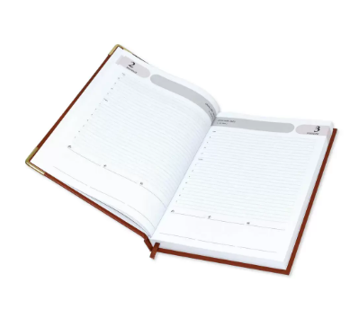 FIS Agenda Diary 2023 (English) 1-Side Padded, Gold Corners, Brown - FSDI75EVG23BR