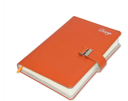 Fis 2023 A5 Diary English With Gift Box -FSDI83E23D18N