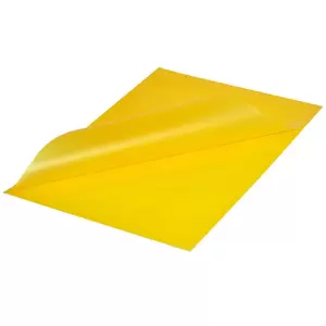 50-Piece Durable Folder for Spine Binding - DUCI2919-04