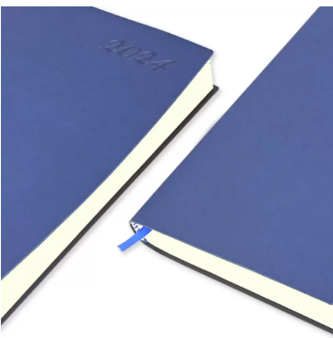 FIS Flexible Diary 2024 (English) A5, Blue - FSDI131E24BL