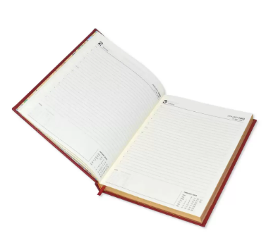 FIS Diary 2023 (English) Black, A4 - FSDI41E23BK