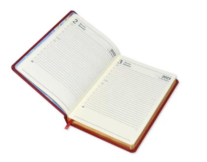 FIS Golden Diary 2023 (English) A5, Italian PU, 1-Side Padded, Black - FSDI20EG23BK