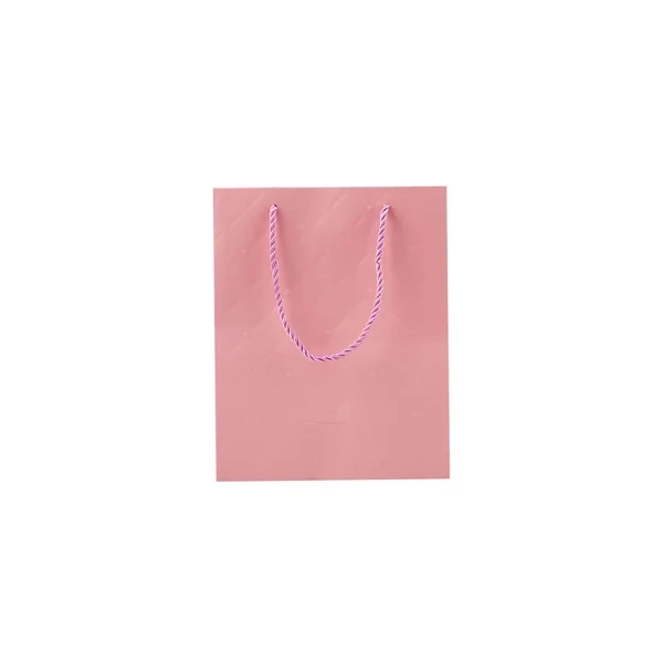 Gift Pink Paper Bag 20x10x25 Cm 10 Piece