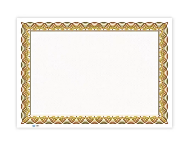 Fis Plain Design Certificate - Pocket Of 10 Pieces, A4 Size