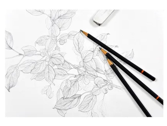 Sadaf Spiral Sketch Pad, 100GSM, 50 Sheets, B4 Size, White