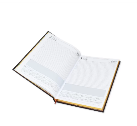 FIS Golden Diary 2023 (English) Green, A4 - FSDI43EG23GR