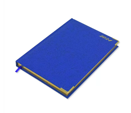 FIS Golden Executive Daily Diary 2024 (English) Blue - FSDI88EG24BL