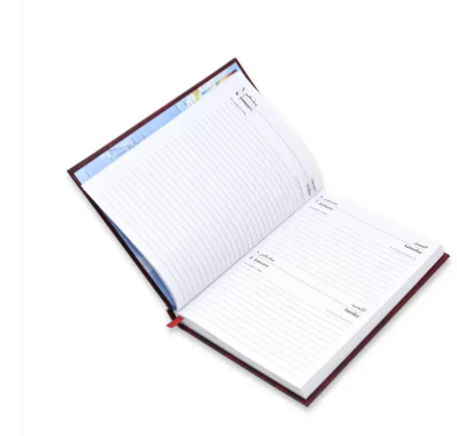 FIS Diary 2023 English (Saturday & Sunday Combined) A5 , Green -FSDI92EN23GR