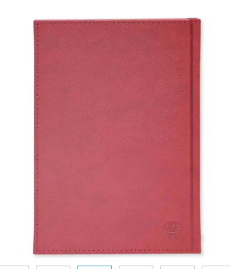 FIS Golden A5 Diary 2024 (English) Maroon - FSDI26EG24MR