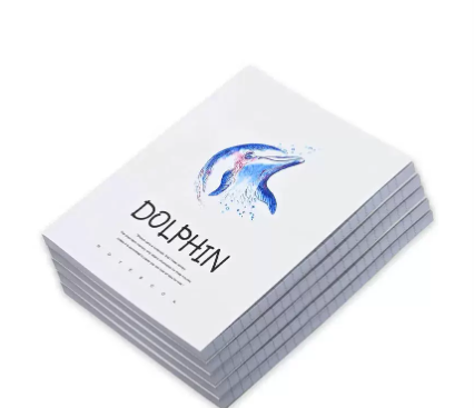 FIS Pack Of 5 Soft Cover Notebook, 96 Sheets A5 Dolphin Design 1 -FSNBSCA596-DOL1