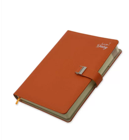 FIS Agenda Diary 2023 (Arabic/English) - FSDI87AE23D18N