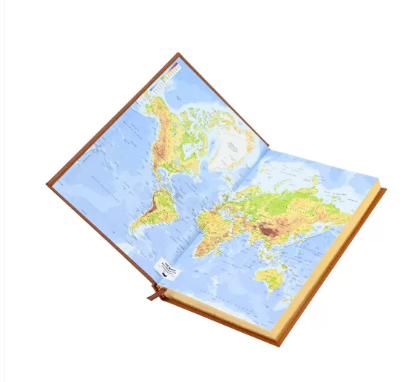 FIS Golden A5 Diary 2024 (Arabic/English) Brown - FSDI26AEG24BR