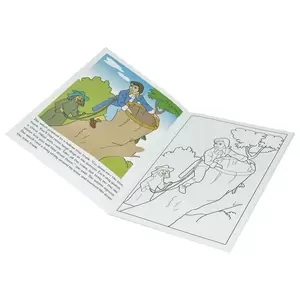 12-Piece FIS Coloring Book Tinder Box 28-Pages - FSCGA4N009