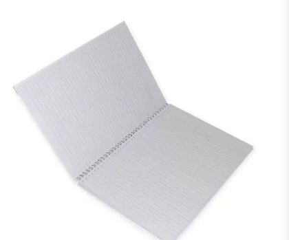 FIS Pack Of 5 Spiral Hard Cover Notebook, 96 Sheets A4 Panda Design 6 -FSNBSHCA496-PAN6