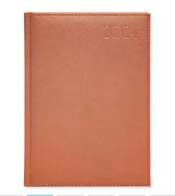 FIS Golden A5 Diary 2024 (English) Brown - FSDI26EG24BR