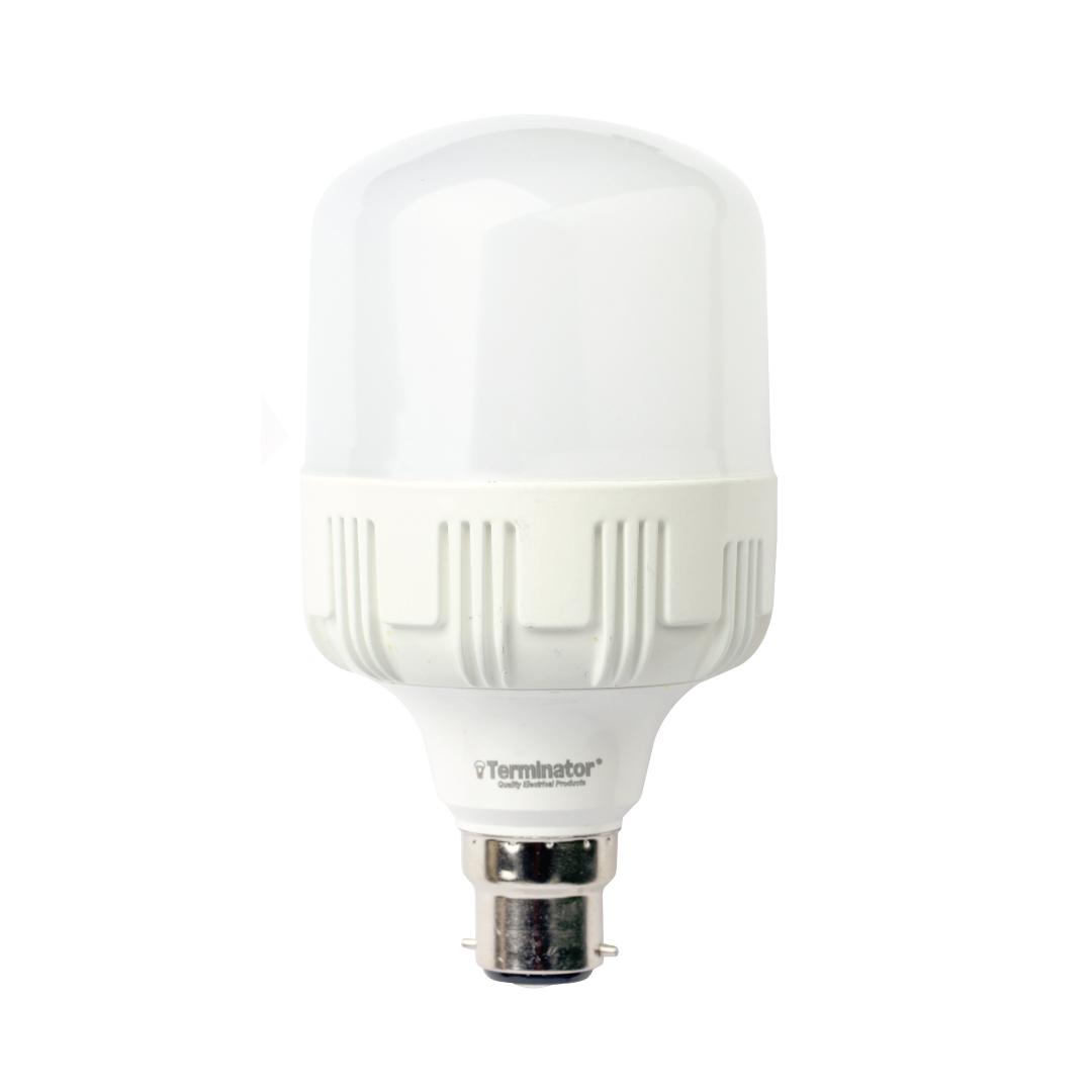 LED Bulb A20W Day Light B22
