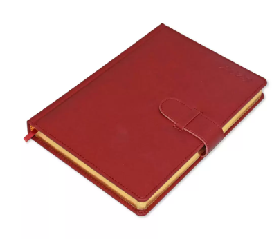 FIS Golden Agenda Diary 2023 (English) Italian PU, 1-Side Padded, Maroon - FSDI75EPG23MR