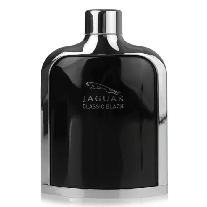 JAGUAR CLASSIC BLACK (M) EDT 100ML